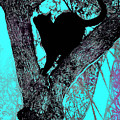 Black Cat- Violet Moon